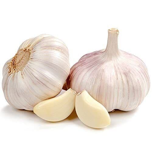 Fresh Garlic Bulbs